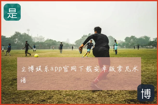 立博娱乐app官网下载安卓版常见术语